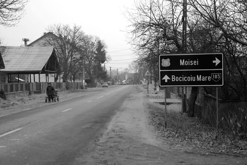 Bocicoiu Mare