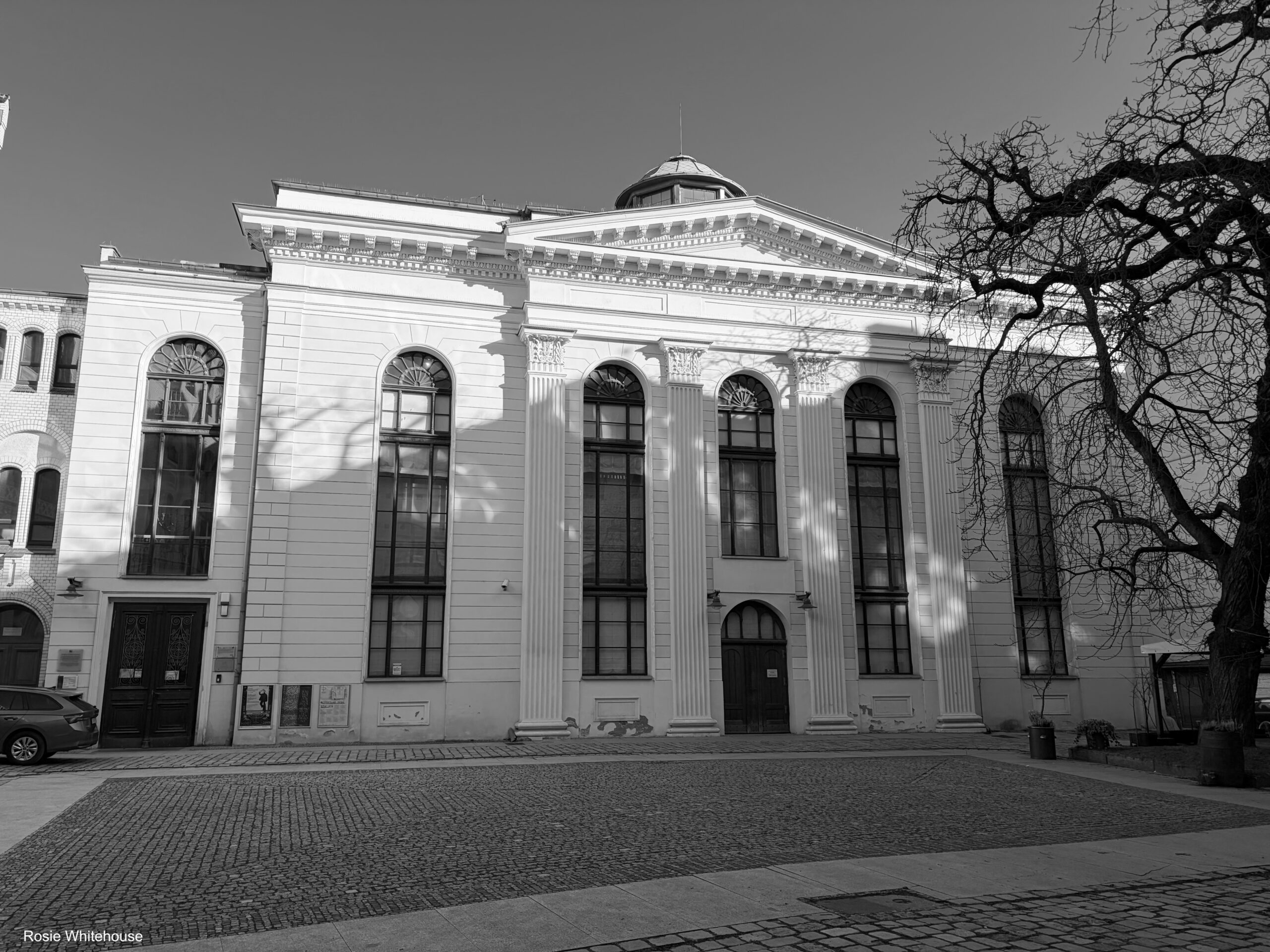 The White Stork Synagogue, Wrocław