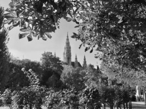 Photograph of Vienna City Hall.