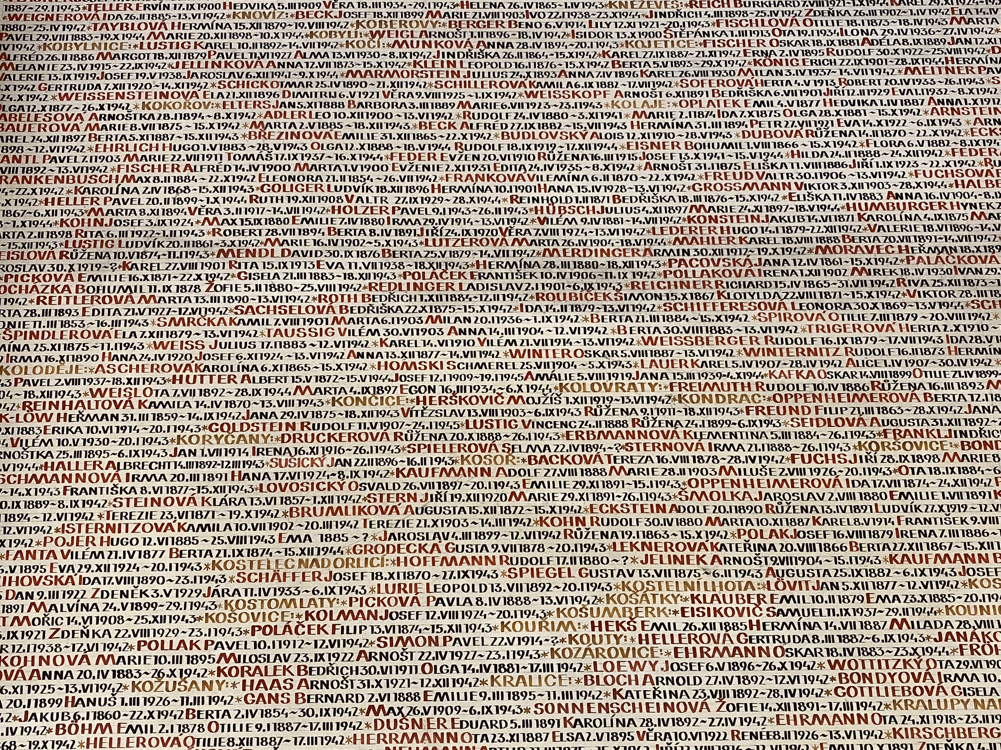 Photograph of Pinkas synagogue names.jpg
Names of the Holocaust victims from Czech lands on the synagogue's inner wall