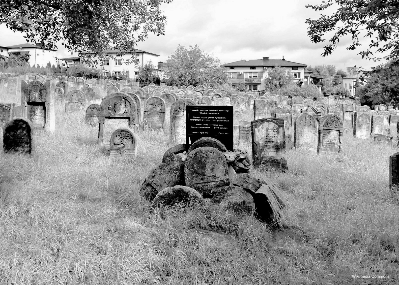 Starachowice Jewish Cemetery