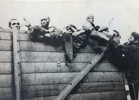 Photograph of Death Train from Buchenwald to Theresienstadt 8 May 1945.