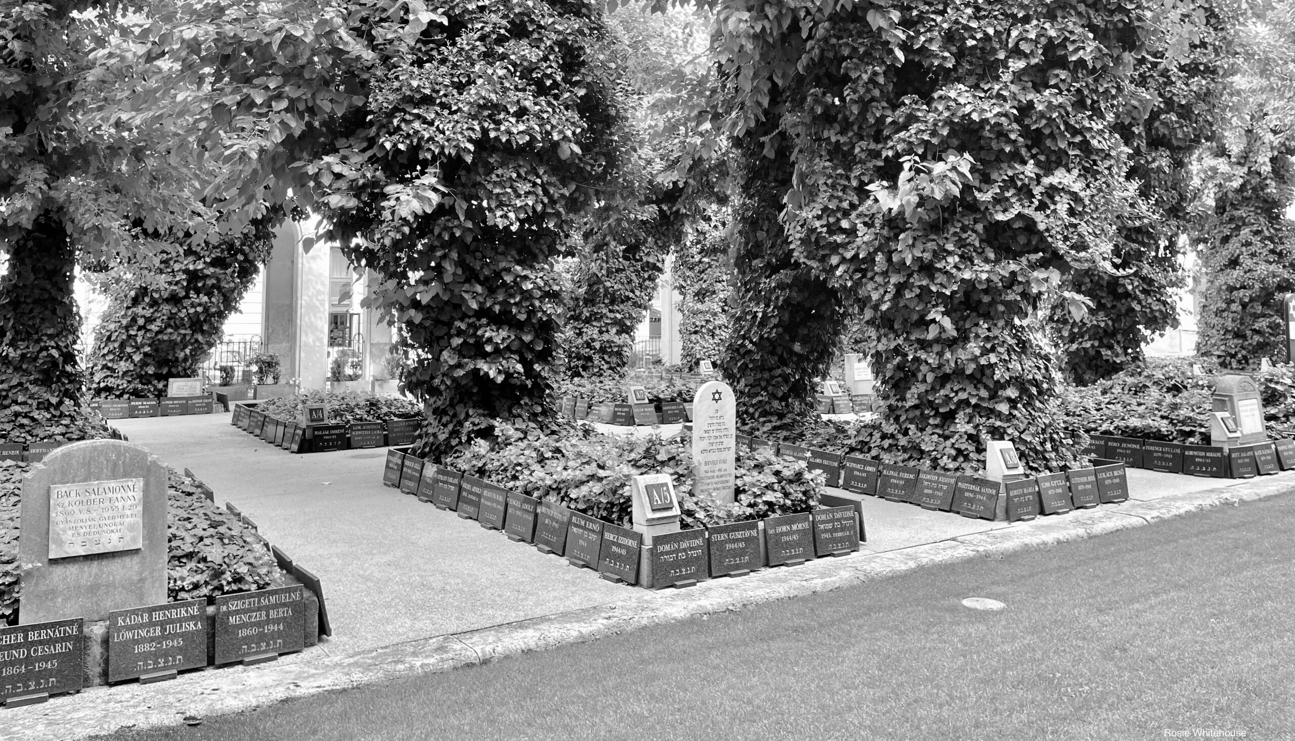 Photograph of wartime graves in the Dohany St Synagogue, Budapest, Hungary