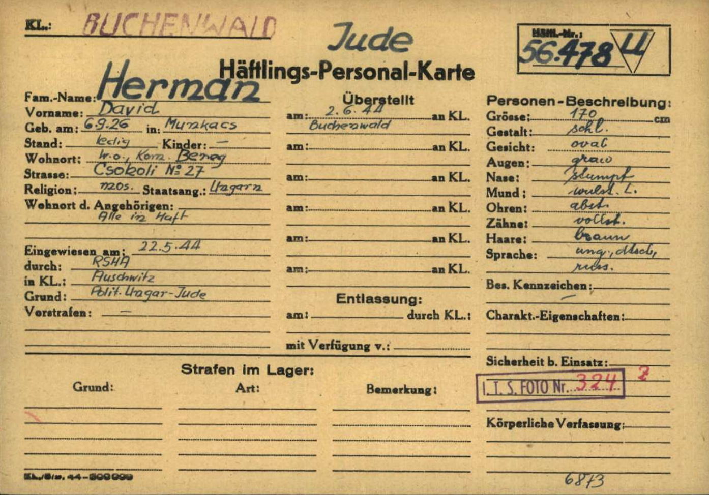 David Herman Buchenwald concentration camp registration card.