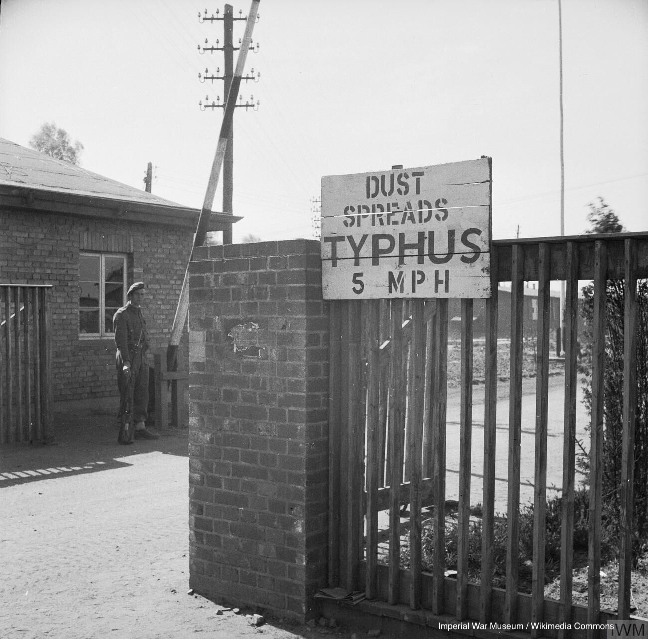 Photograph of the Liberation of Bergen-Belsen Concentration Camp, April 1945.