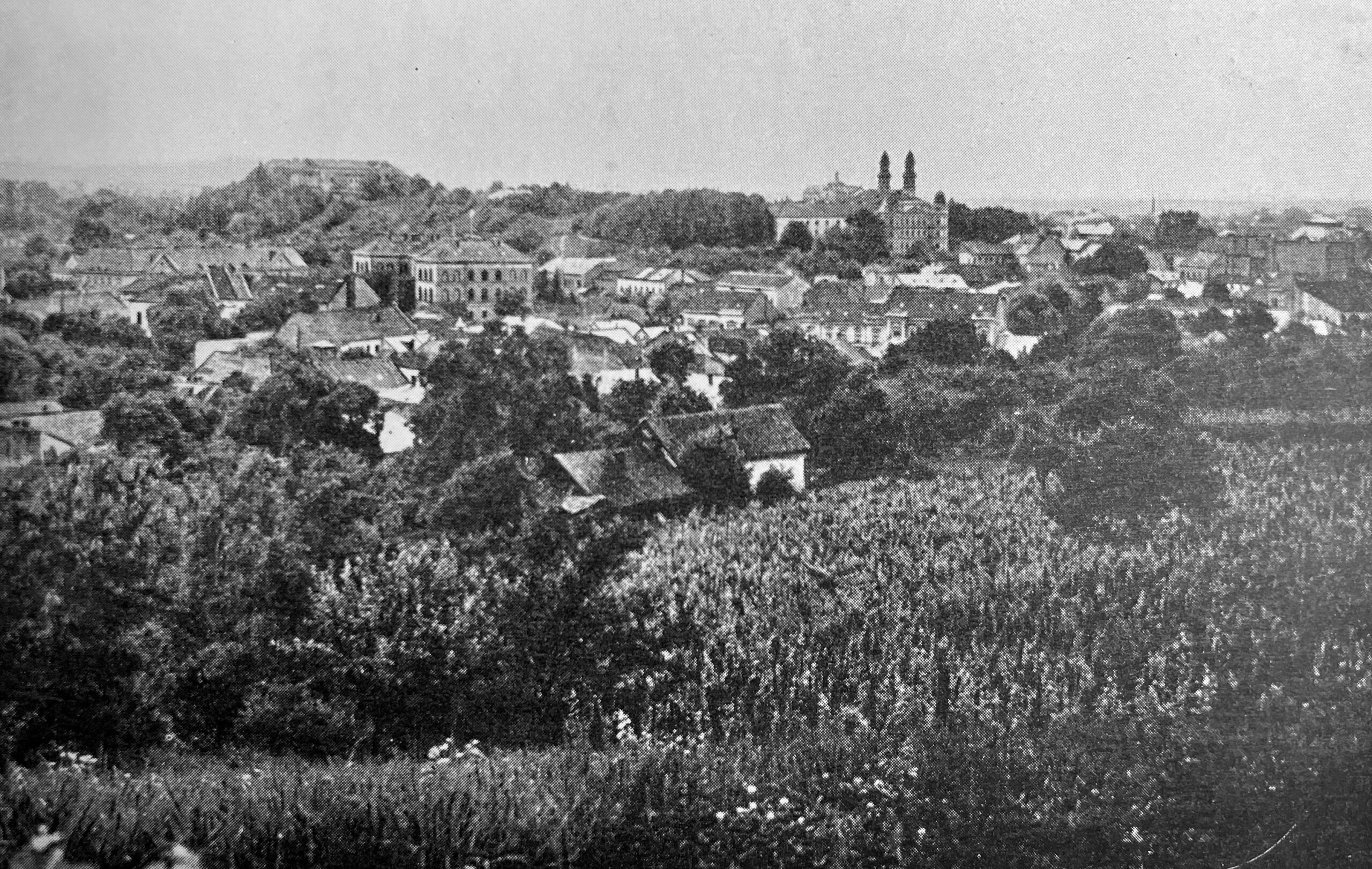 Photograph of Užhorod, Czechoslovakia in the 1930s.