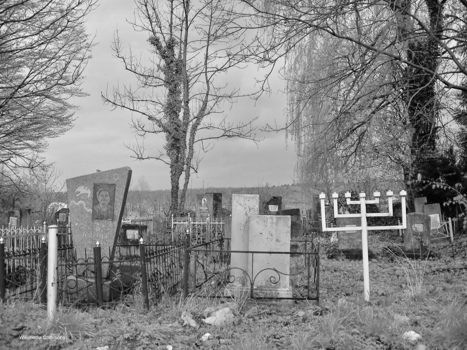 Photograph of the Jewish cemetery in Boryslav, Ukraine.
