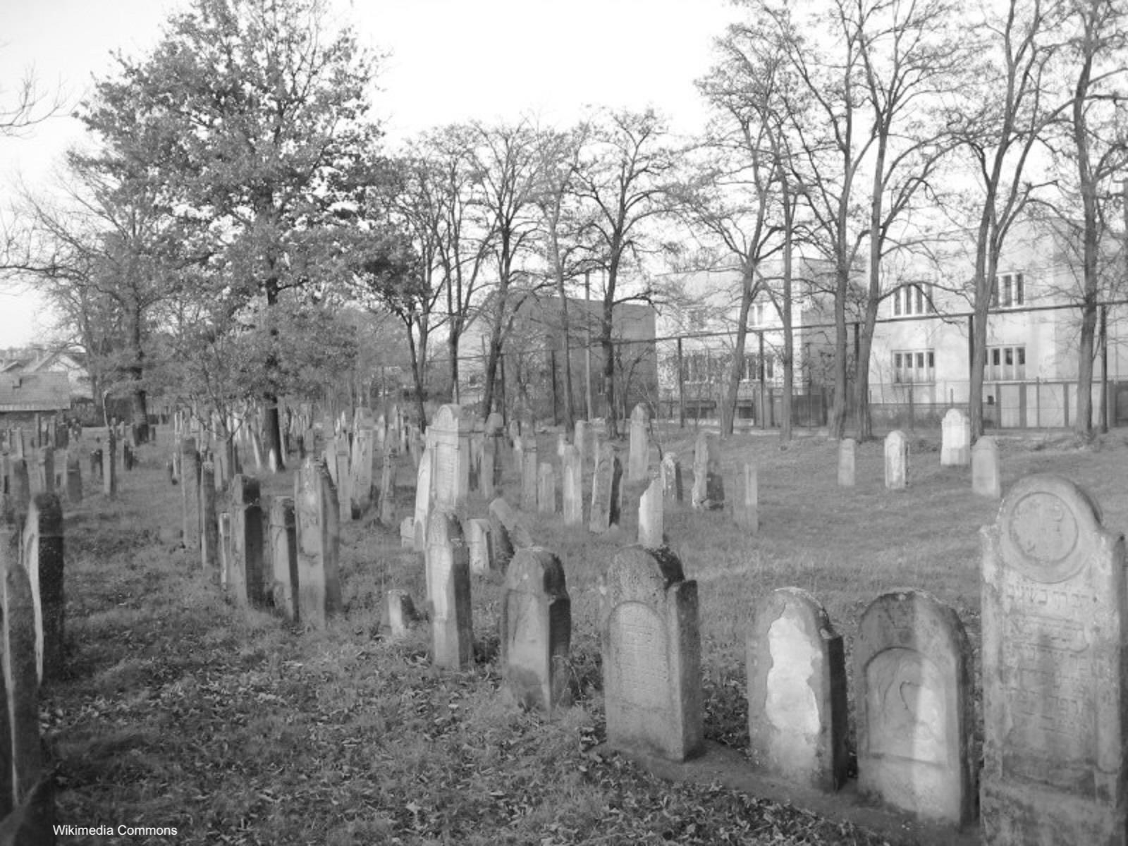 Solotvyno (Aknaszlatina) Old Jewish cemetery