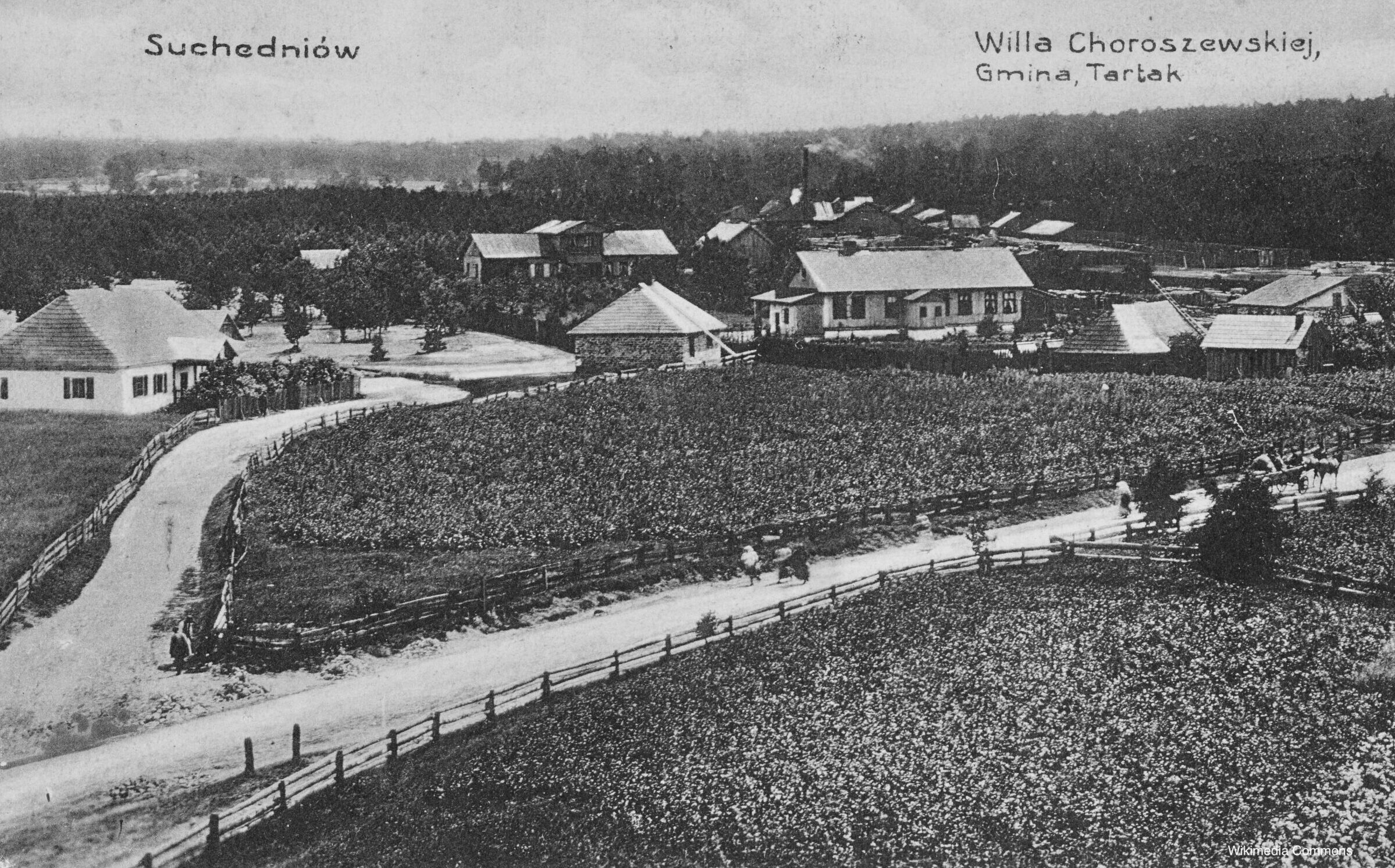 Photograph of Suchedniow c 1920.