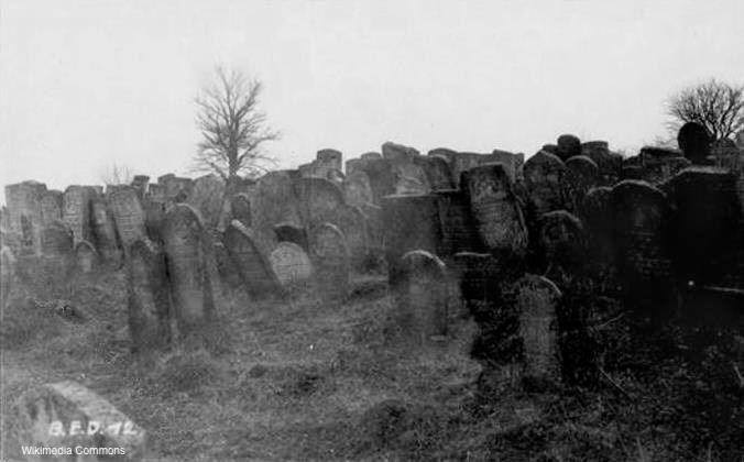Photograph of Trembowla Jewish cemetery.