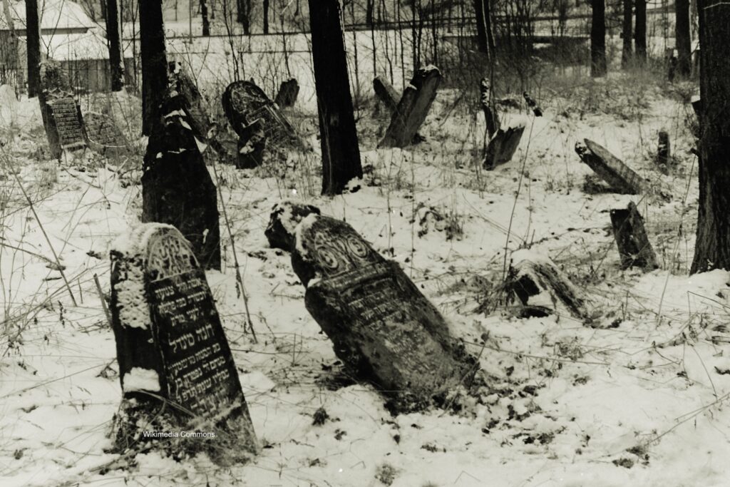 Photograph of Bircza Jewish cemetery